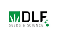 DLF