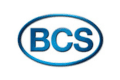 BCS