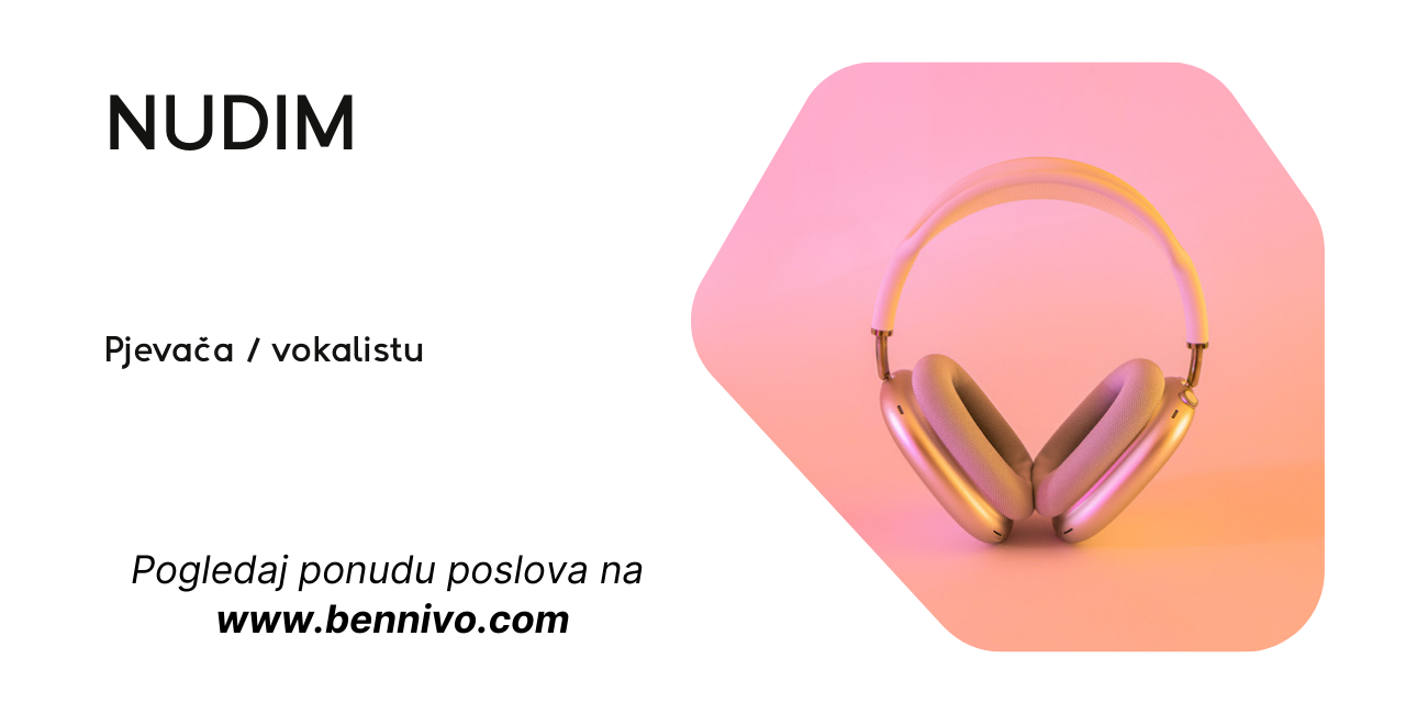 Nudim posao – Pjevač / Vokalista