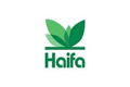 Haifa Group